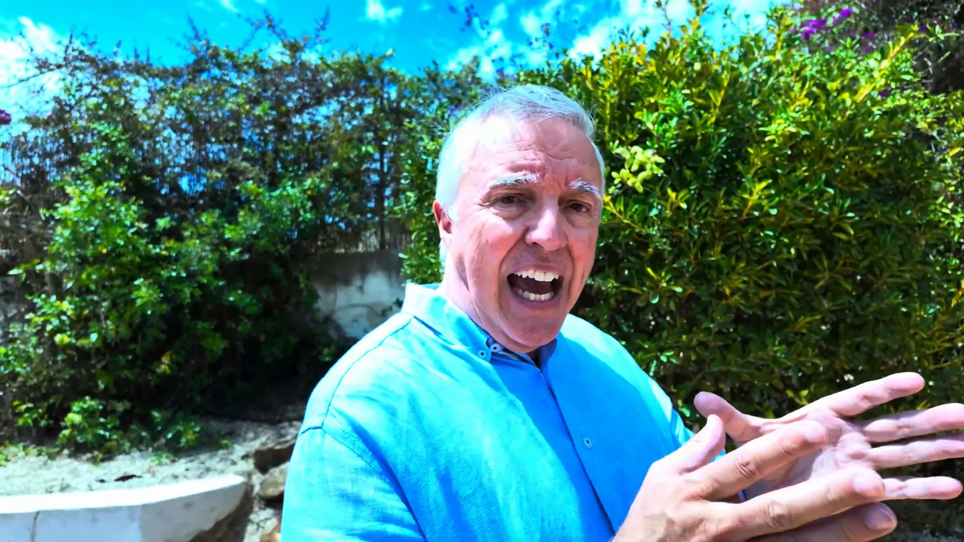 Die Bedeutung des Wollen für Entscheidungen